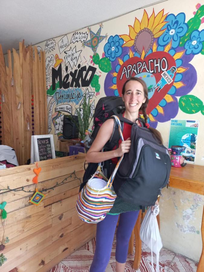 Casa Apapacho Hostel San Cristóbal de Las Casas المظهر الخارجي الصورة