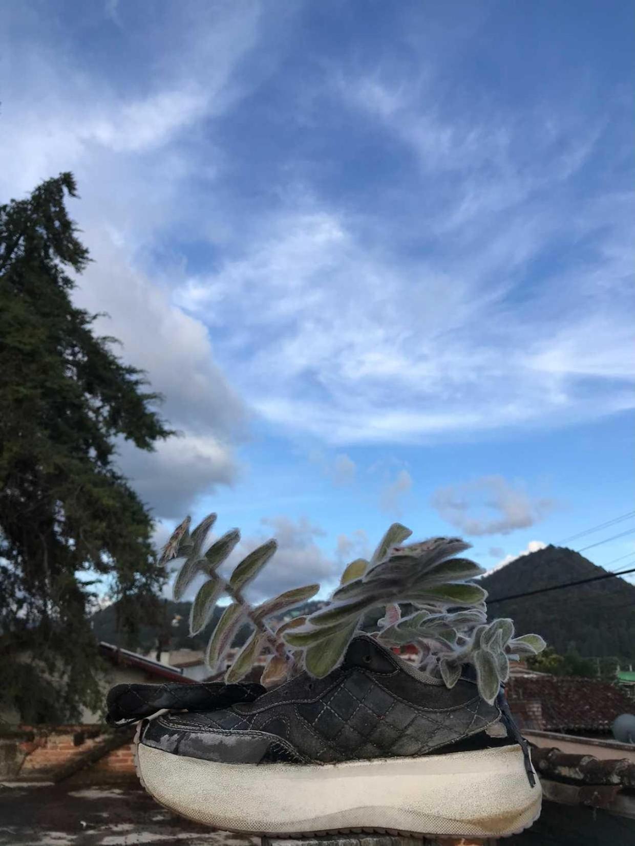 Casa Apapacho Hostel San Cristóbal de Las Casas المظهر الخارجي الصورة